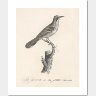 The Yellow Necked Warbler Posters and Art